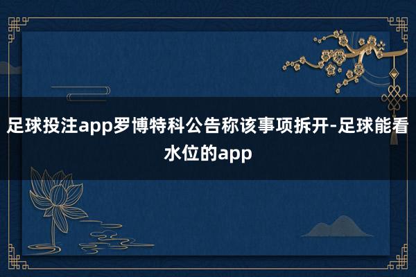 足球投注app罗博特科公告称该事项拆开-足球能看水位的app