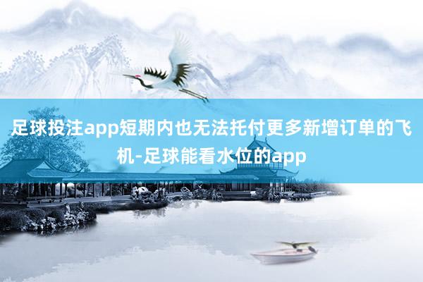 足球投注app短期内也无法托付更多新增订单的飞机-足球能看水位的app