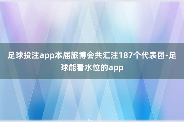 足球投注app本届旅博会共汇注187个代表团-足球能看水位的app