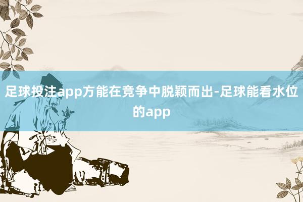 足球投注app方能在竞争中脱颖而出-足球能看水位的app