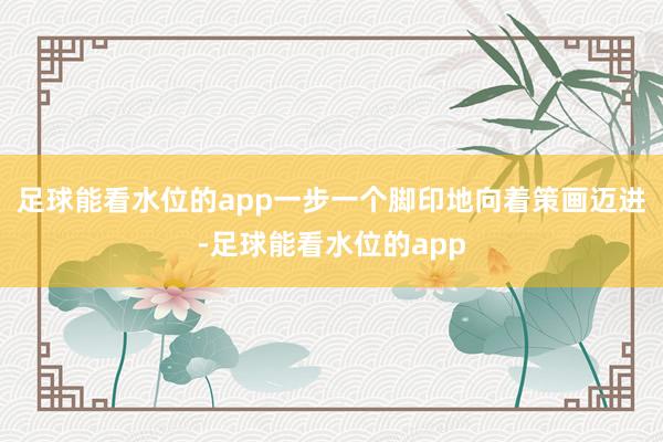 足球能看水位的app一步一个脚印地向着策画迈进-足球能看水位的app
