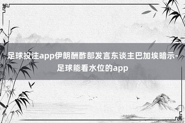 足球投注app伊朗酬酢部发言东谈主巴加埃暗示-足球能看水位的app