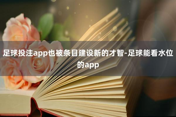 足球投注app也被条目建设新的才智-足球能看水位的app