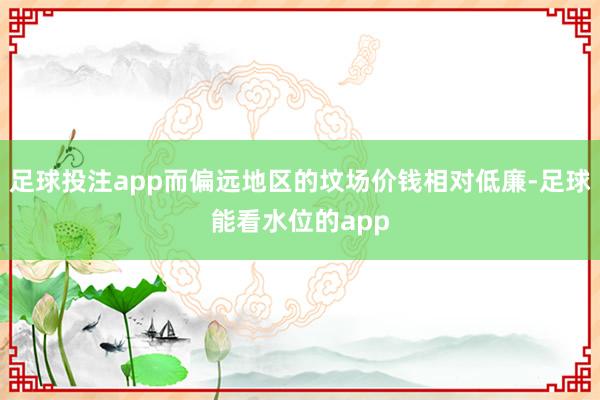 足球投注app而偏远地区的坟场价钱相对低廉-足球能看水位的app