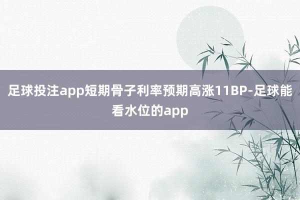 足球投注app短期骨子利率预期高涨11BP-足球能看水位的app