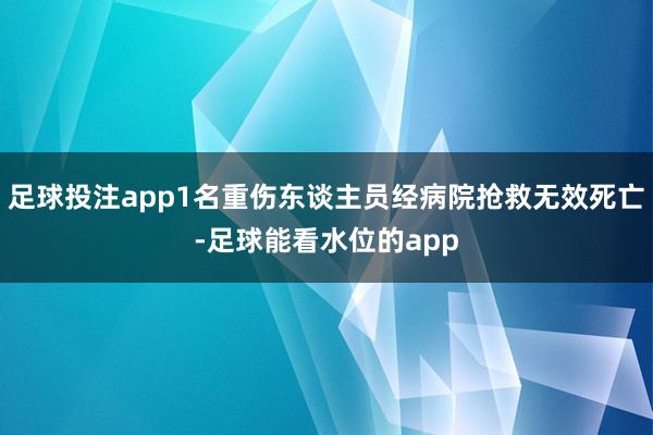 足球投注app1名重伤东谈主员经病院抢救无效死亡-足球能看水位的app