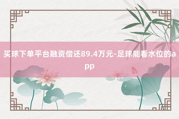 买球下单平台融资偿还89.4万元-足球能看水位的app