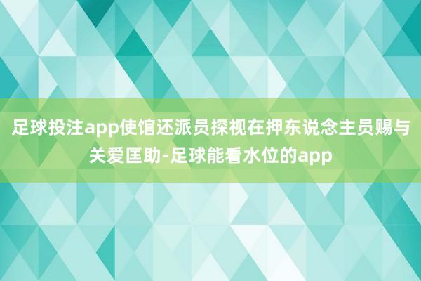 足球投注app使馆还派员探视在押东说念主员赐与关爱匡助-足球能看水位的app
