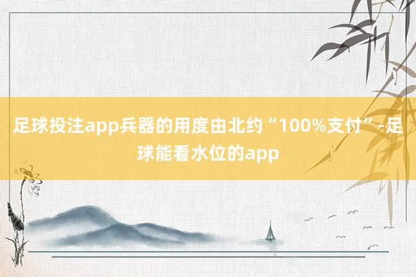 足球投注app兵器的用度由北约“100%支付”-足球能看水位的app