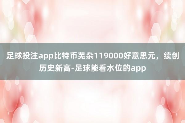足球投注app比特币芜杂119000好意思元，续创历史新高-足球能看水位的app