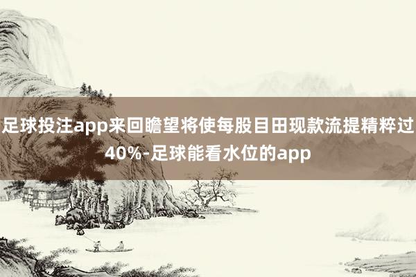 足球投注app来回瞻望将使每股目田现款流提精粹过40%-足球能看水位的app