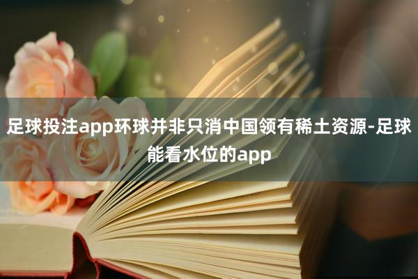 足球投注app环球并非只消中国领有稀土资源-足球能看水位的app