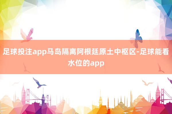 足球投注app马岛隔离阿根廷原土中枢区-足球能看水位的app