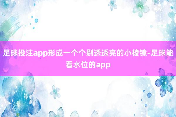 足球投注app形成一个个剔透透亮的小棱镜-足球能看水位的app