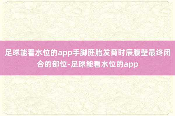 足球能看水位的app手脚胚胎发育时辰腹壁最终闭合的部位-足球能看水位的app