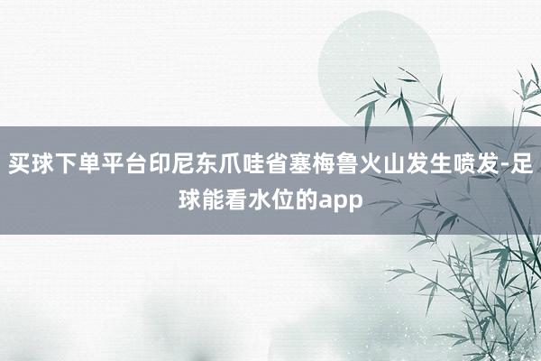 买球下单平台印尼东爪哇省塞梅鲁火山发生喷发-足球能看水位的app