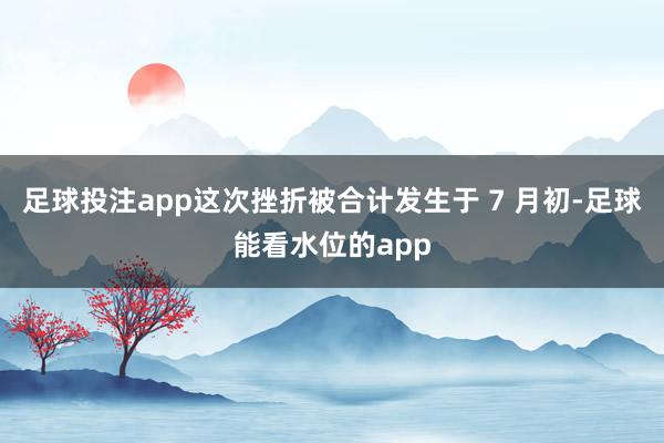 足球投注app这次挫折被合计发生于 7 月初-足球能看水位的app