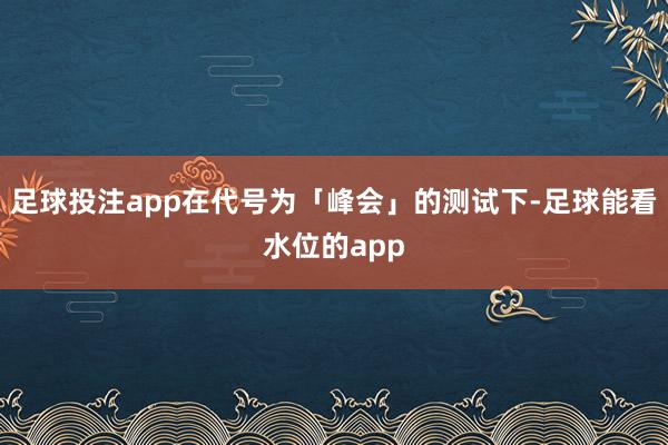 足球投注app在代号为「峰会」的测试下-足球能看水位的app