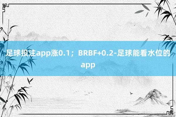 足球投注app涨0.1；BRBF+0.2-足球能看水位的app