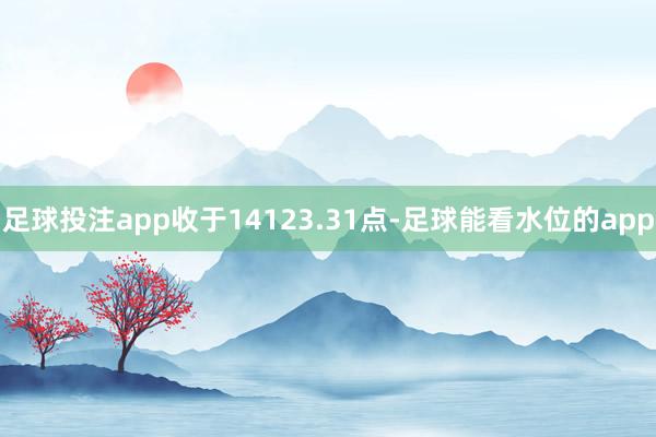 足球投注app收于14123.31点-足球能看水位的app