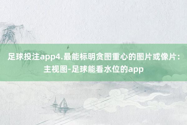 足球投注app4.最能标明贪图重心的图片或像片：主视图-足球能看水位的app