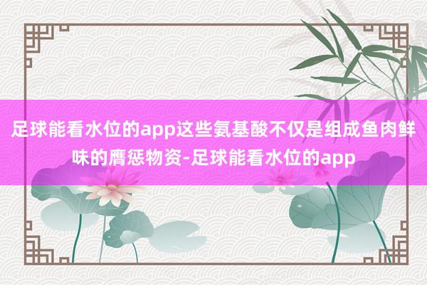 足球能看水位的app这些氨基酸不仅是组成鱼肉鲜味的膺惩物资-足球能看水位的app