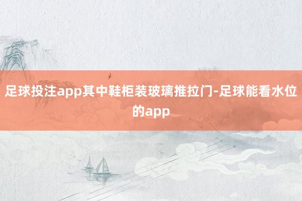 足球投注app其中鞋柜装玻璃推拉门-足球能看水位的app