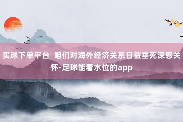 买球下单平台  咱们对海外经济关系日益垂死深感关怀-足球能看水位的app