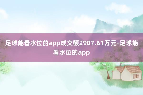 足球能看水位的app成交额2907.61万元-足球能看水位的app