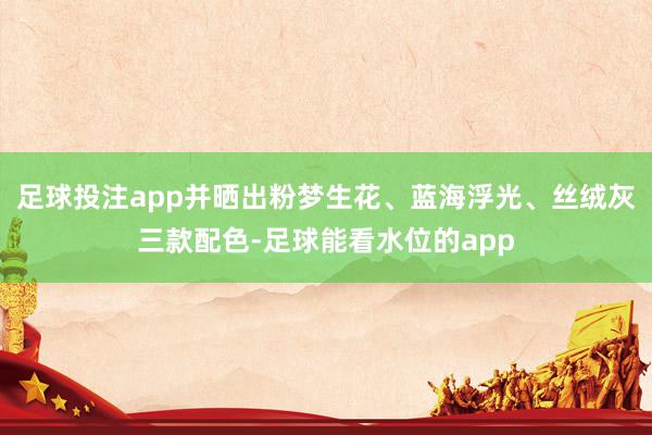 足球投注app并晒出粉梦生花、蓝海浮光、丝绒灰三款配色-足球能看水位的app