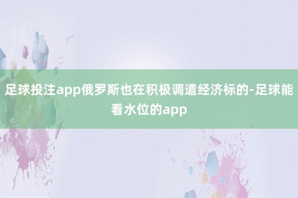 足球投注app俄罗斯也在积极调遣经济标的-足球能看水位的app