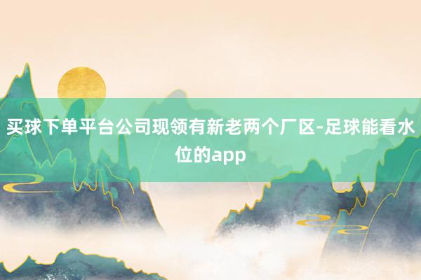买球下单平台公司现领有新老两个厂区-足球能看水位的app