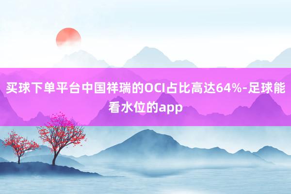买球下单平台中国祥瑞的OCI占比高达64%-足球能看水位的app