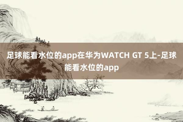 足球能看水位的app在华为WATCH GT 5上-足球能看水位的app