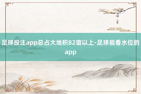足球投注app总占大地积82亩以上-足球能看水位的app