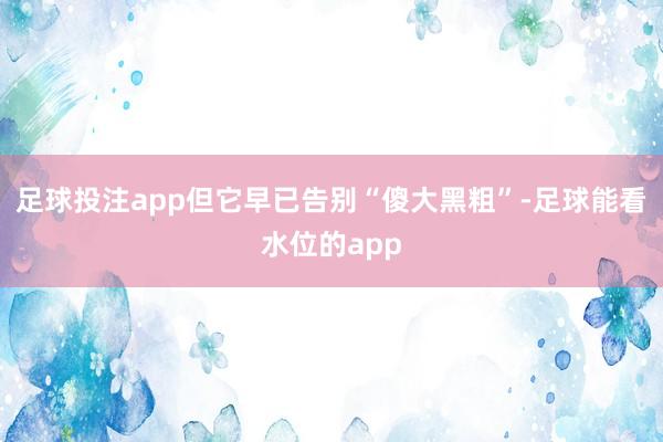 足球投注app但它早已告别“傻大黑粗”-足球能看水位的app