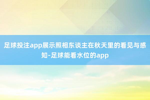 足球投注app展示照相东谈主在秋天里的看见与感知-足球能看水位的app