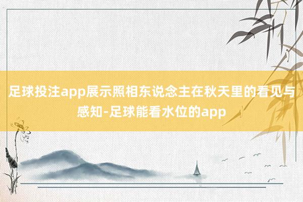 足球投注app展示照相东说念主在秋天里的看见与感知-足球能看水位的app