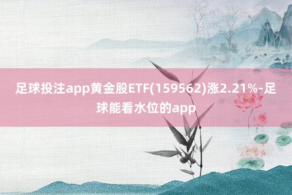 足球投注app黄金股ETF(159562)涨2.21%-足球能看水位的app