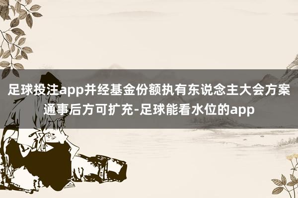 足球投注app并经基金份额执有东说念主大会方案通事后方可扩充-足球能看水位的app