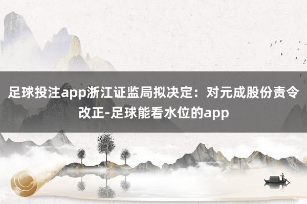 足球投注app浙江证监局拟决定：对元成股份责令改正-足球能看水位的app