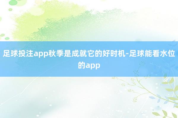 足球投注app秋季是成就它的好时机-足球能看水位的app