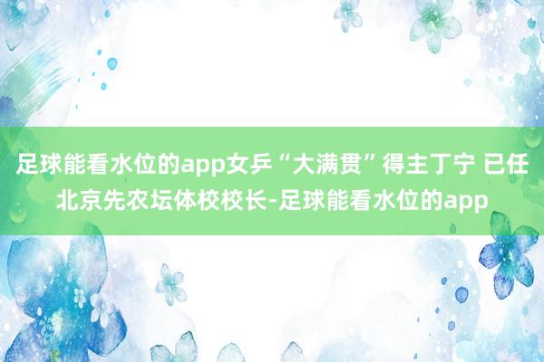 足球能看水位的app女乒“大满贯”得主丁宁 已任北京先农坛体校校长-足球能看水位的app