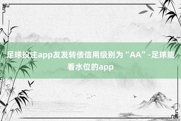 足球投注app友发转债信用级别为“AA”-足球能看水位的app
