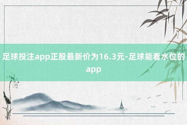 足球投注app正股最新价为16.3元-足球能看水位的app